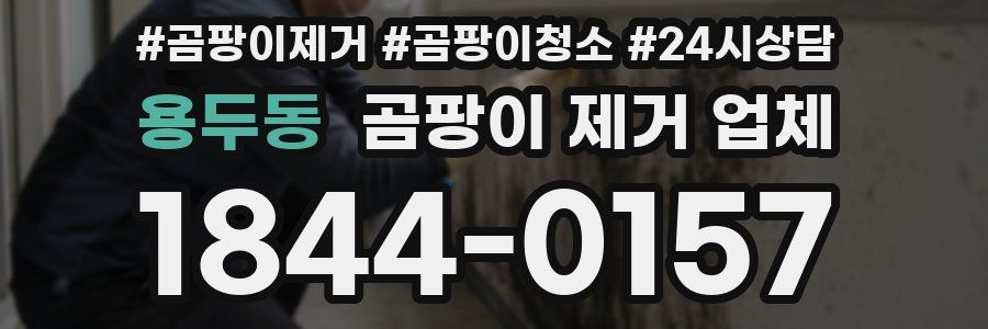 용두동 곰팡이 제거 업체