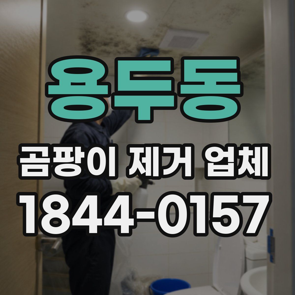 용두동 곰팡이 제거 업체