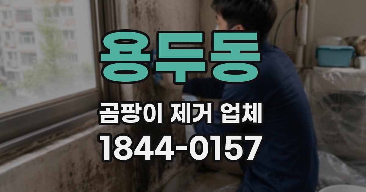 용두동 곰팡이 제거 업체