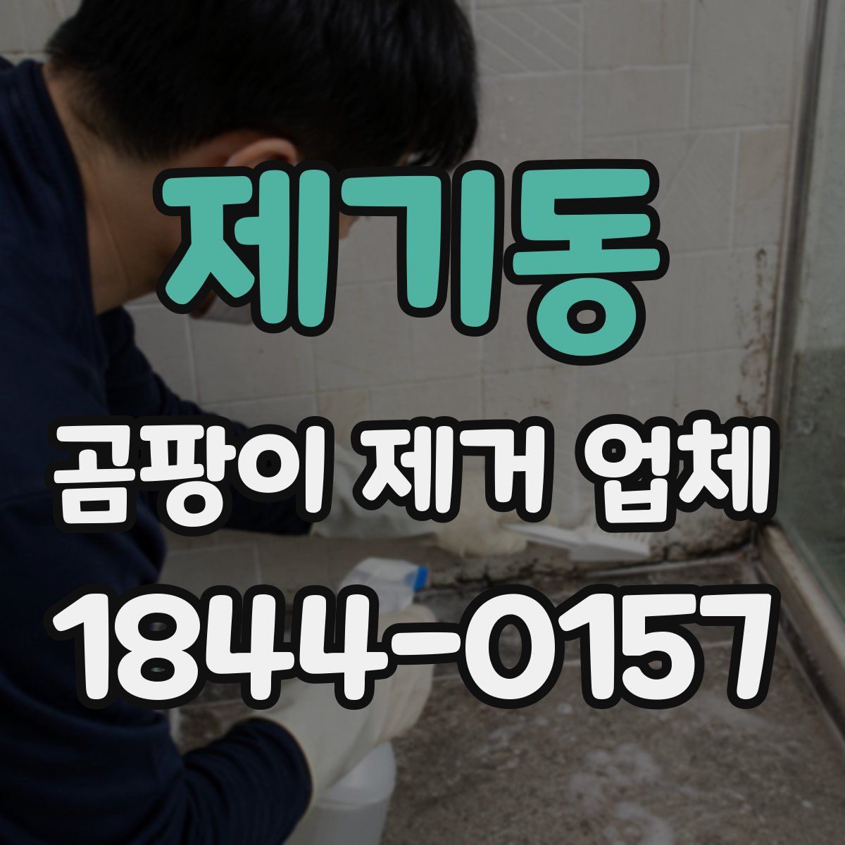제기동 곰팡이 제거 업체