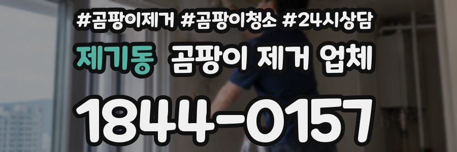 제기동 곰팡이 제거 업체