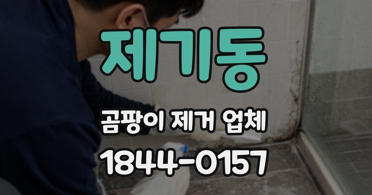 제기동 곰팡이 제거 업체