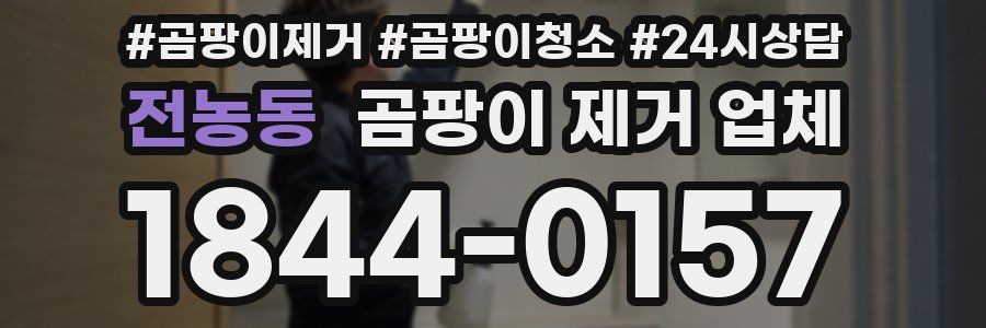 전농동 곰팡이 제거 업체