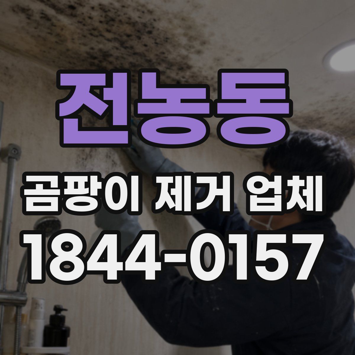 전농동 곰팡이 제거 업체