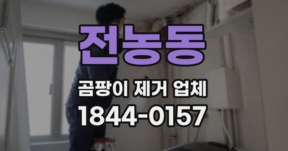 전농동 곰팡이 제거 업체