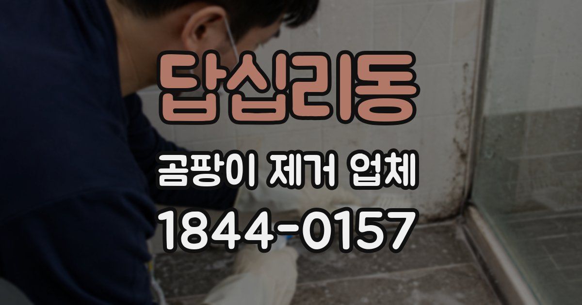 답십리동 곰팡이 제거 업체