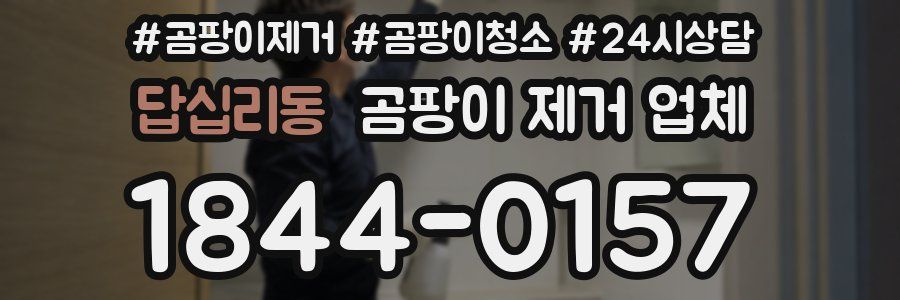 답십리동 곰팡이 제거 업체