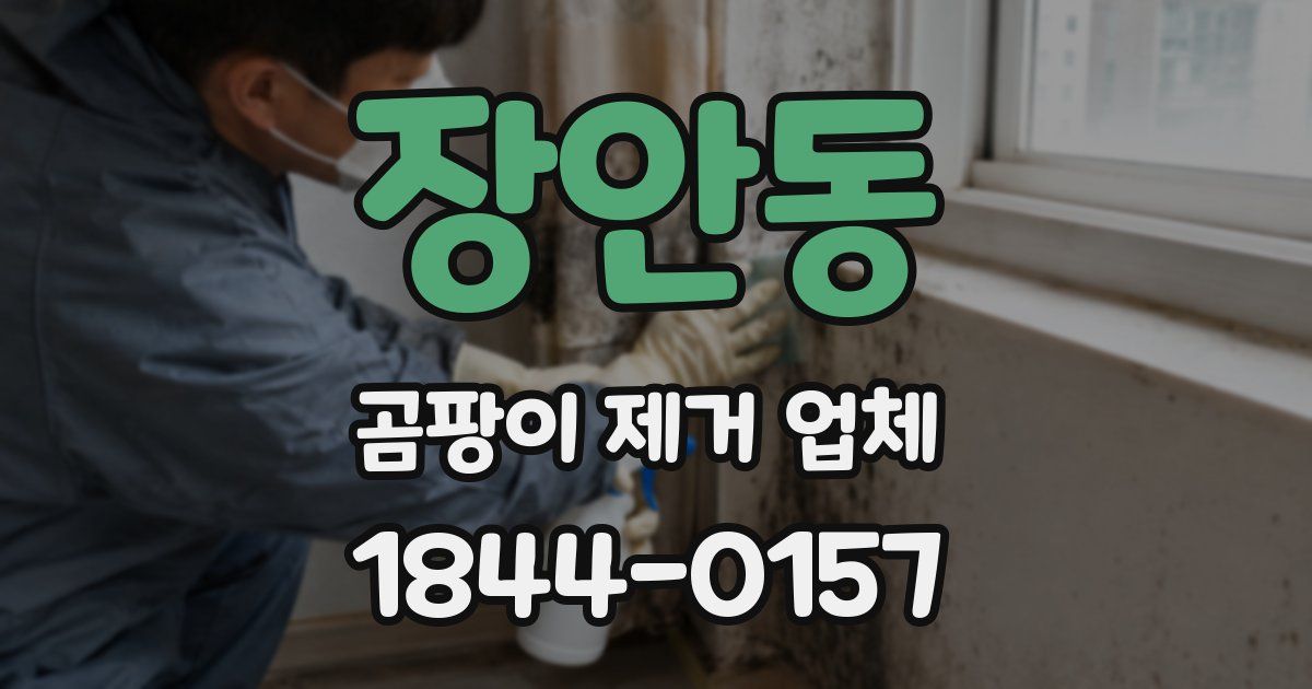 장안동 곰팡이 제거 업체