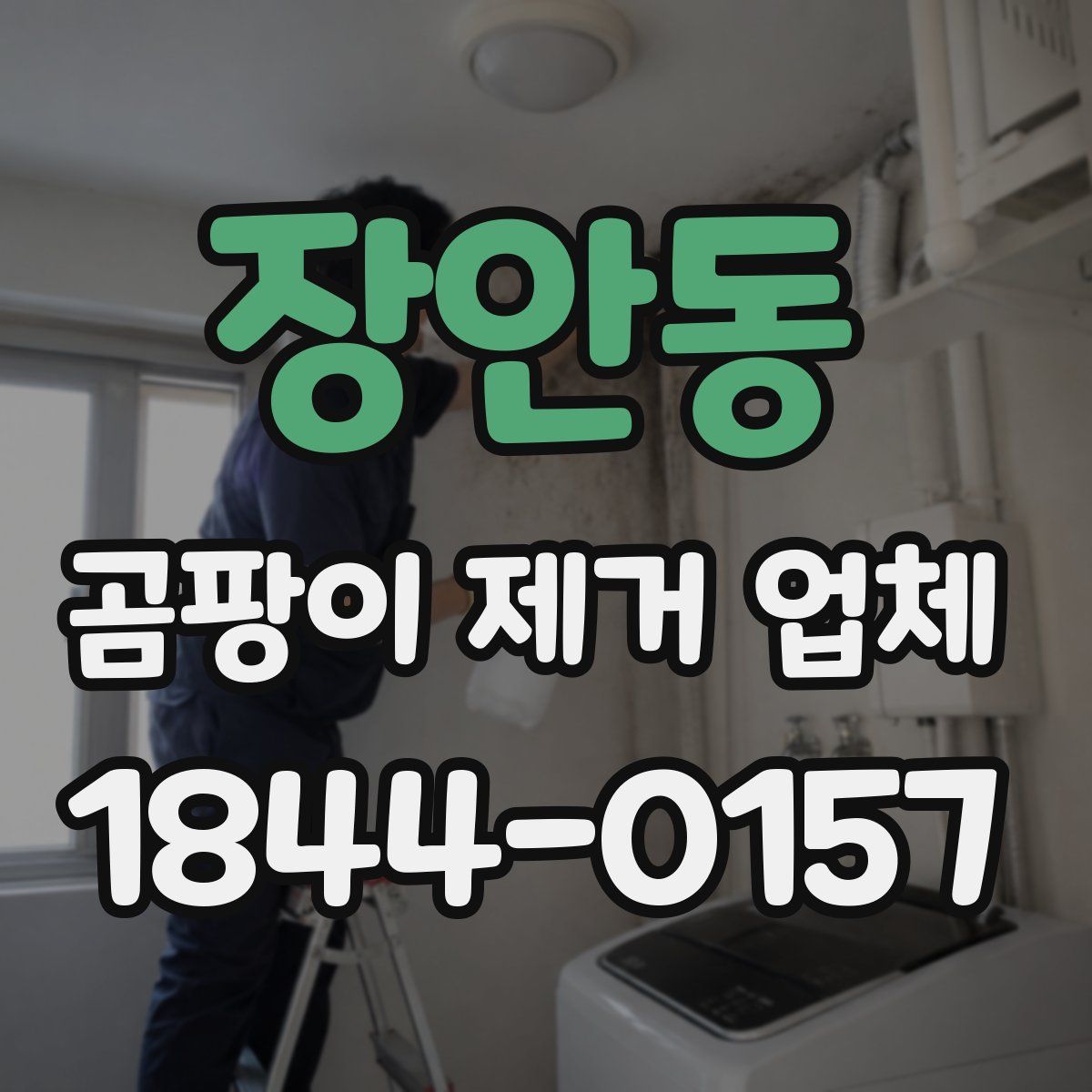 장안동 곰팡이 제거 업체