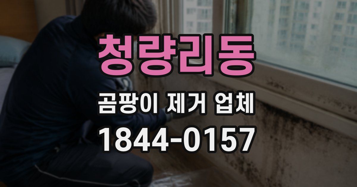 청량리동 곰팡이 제거 업체