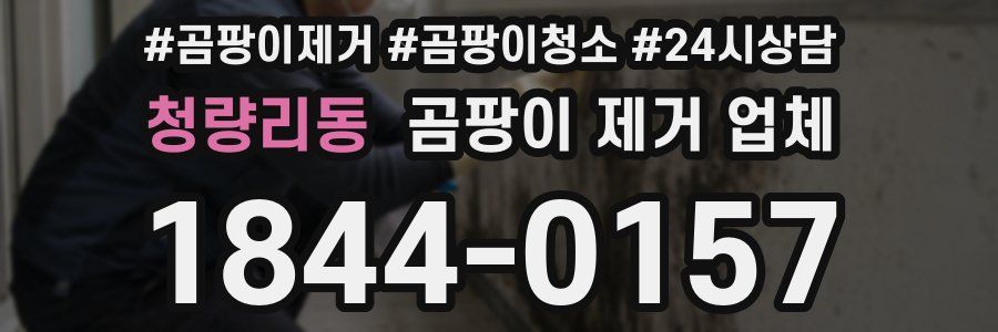 청량리동 곰팡이 제거 업체