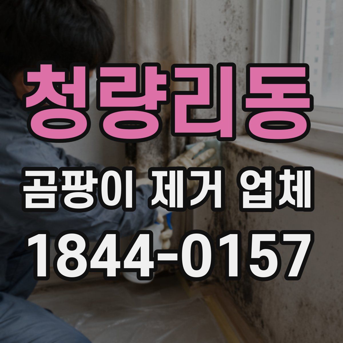 청량리동 곰팡이 제거 업체