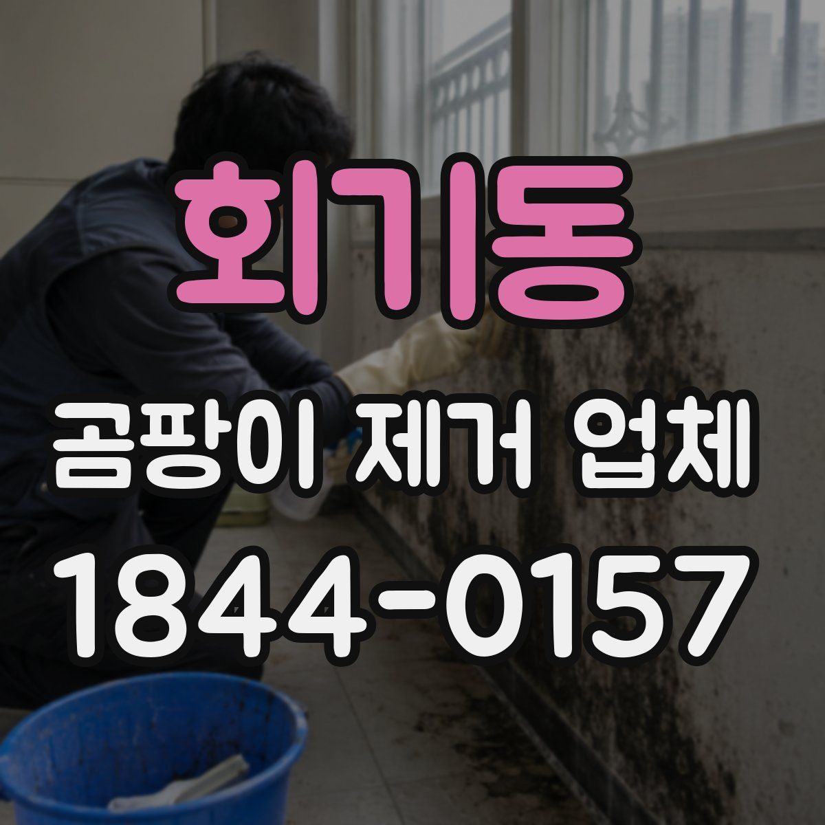 회기동 곰팡이 제거 업체
