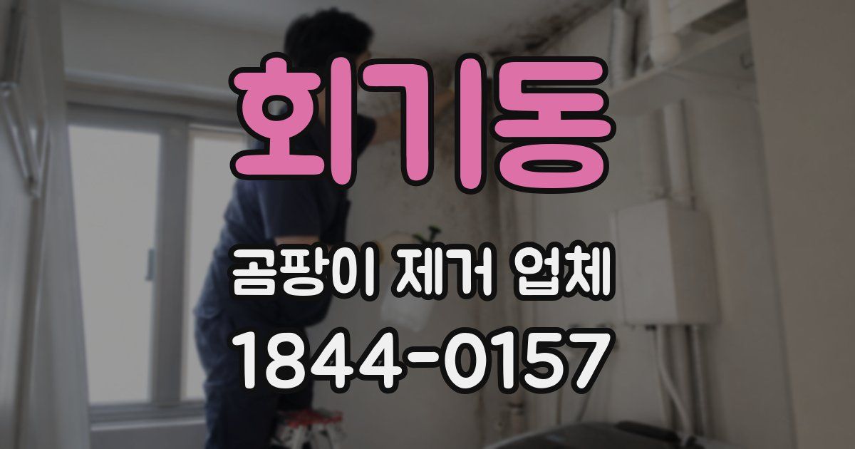 회기동 곰팡이 제거 업체