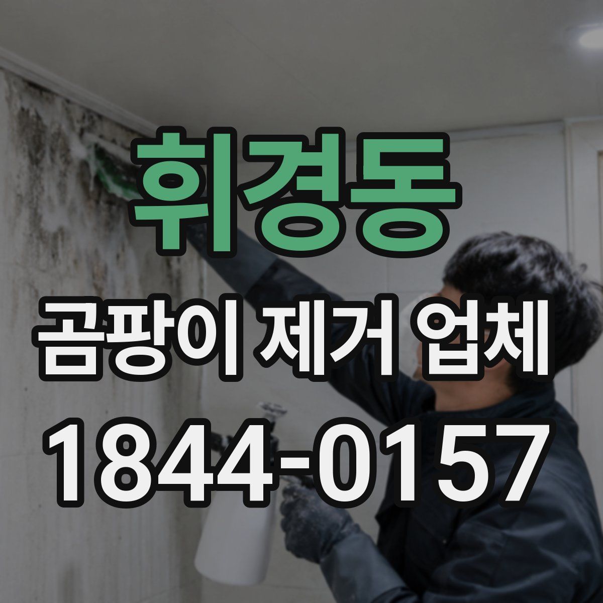 휘경동 곰팡이 제거 업체