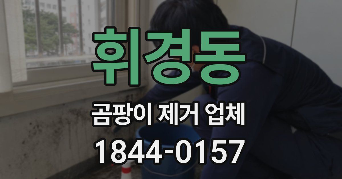 휘경동 곰팡이 제거 업체