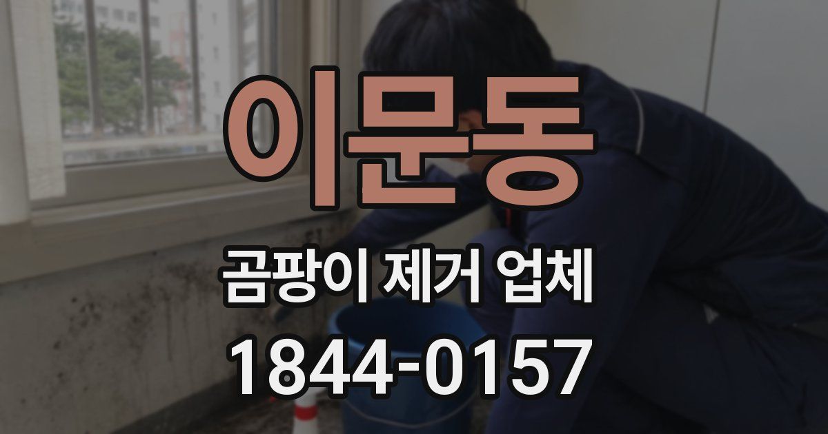 이문동 곰팡이 제거 업체