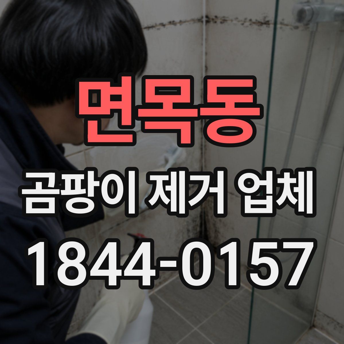 면목동 곰팡이 제거 업체