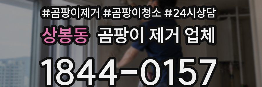 상봉동 곰팡이 제거 업체