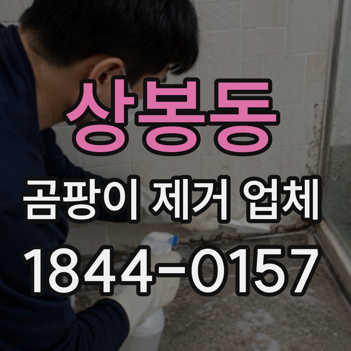 상봉동 곰팡이 제거 업체