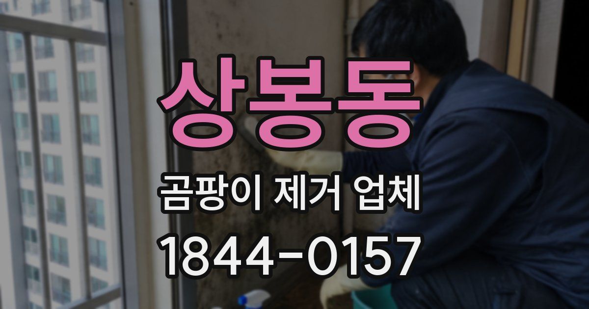 상봉동 곰팡이 제거 업체