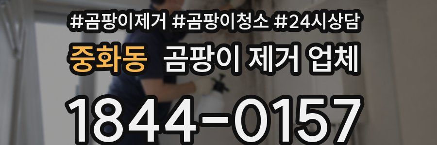 중화동 곰팡이 제거 업체