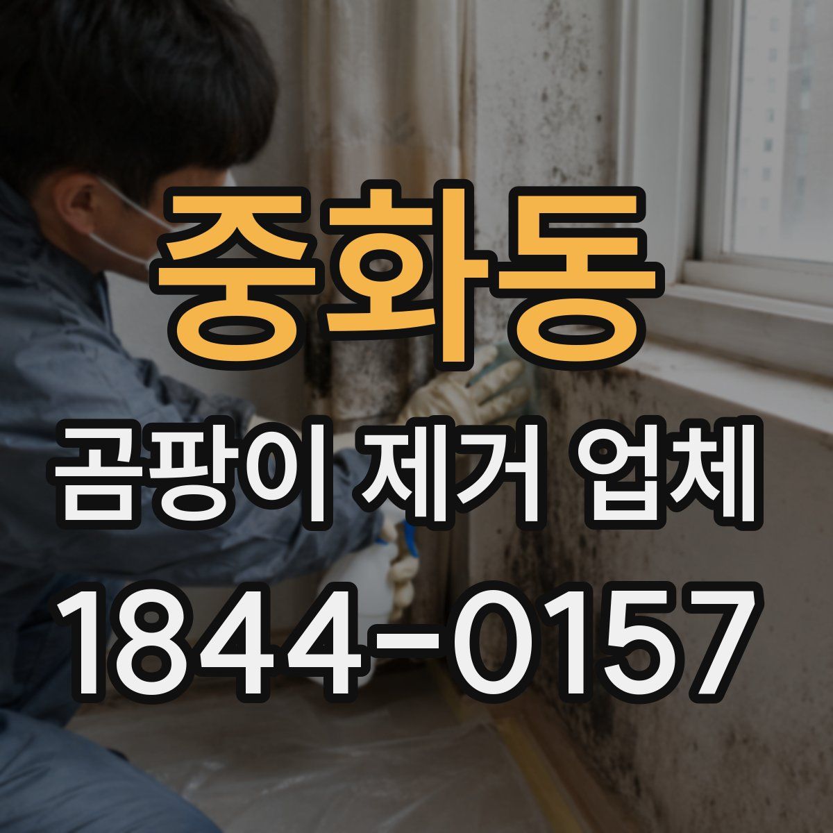 중화동 곰팡이 제거 업체