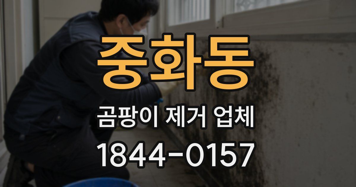 중화동 곰팡이 제거 업체