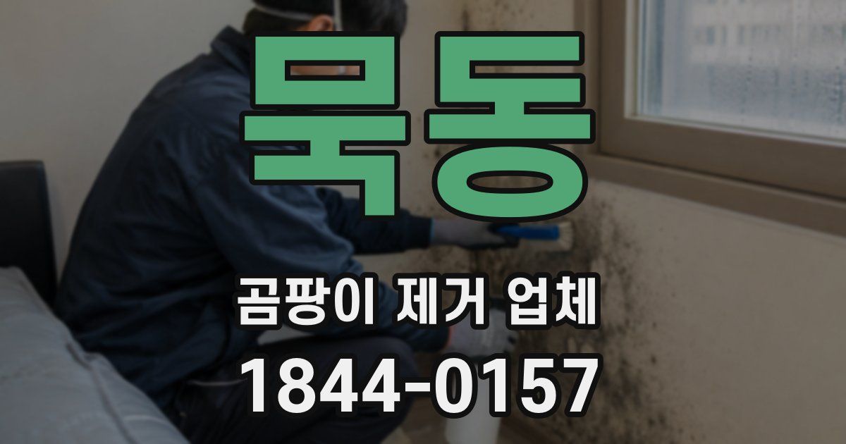 묵동 곰팡이 제거 업체