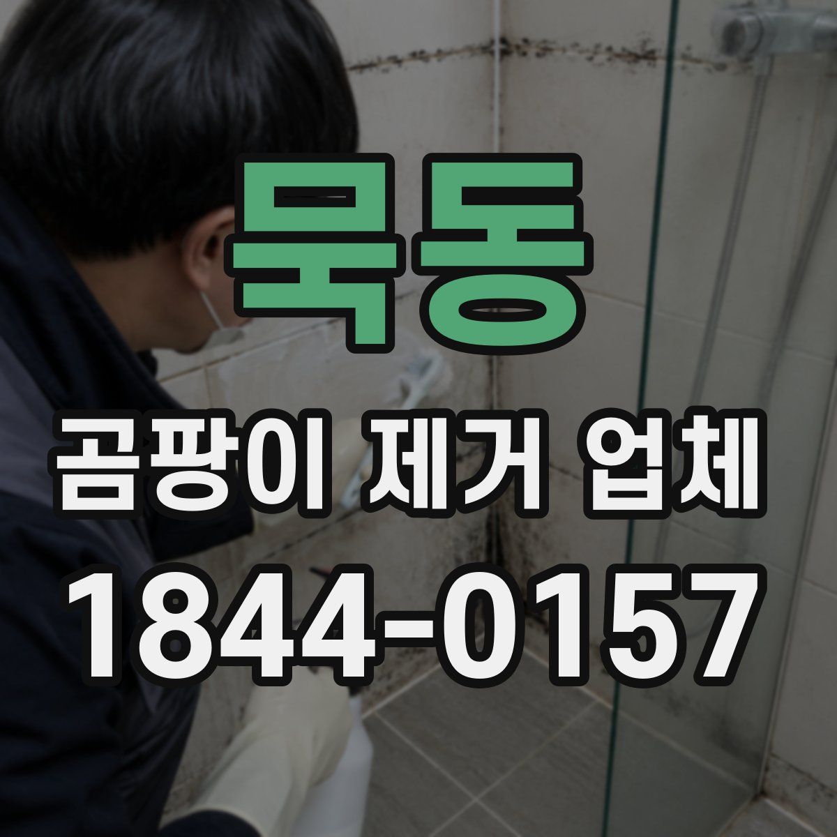 묵동 곰팡이 제거 업체