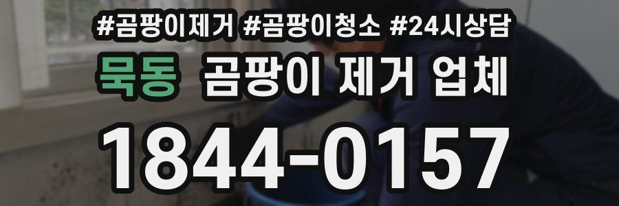 묵동 곰팡이 제거 업체