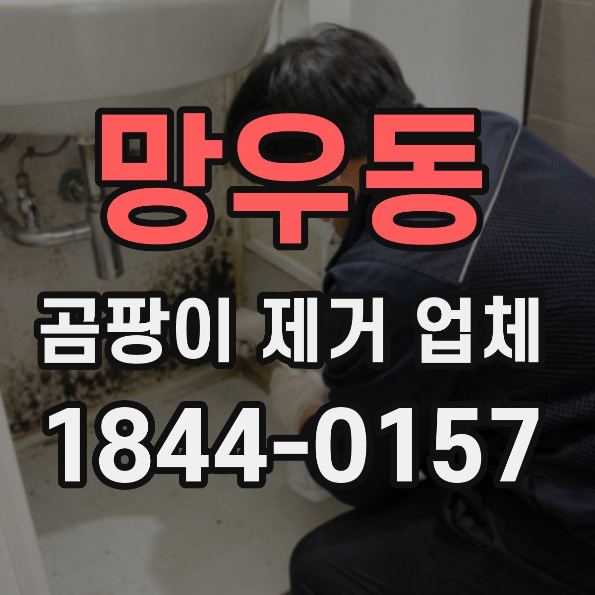 망우동 곰팡이 제거 업체