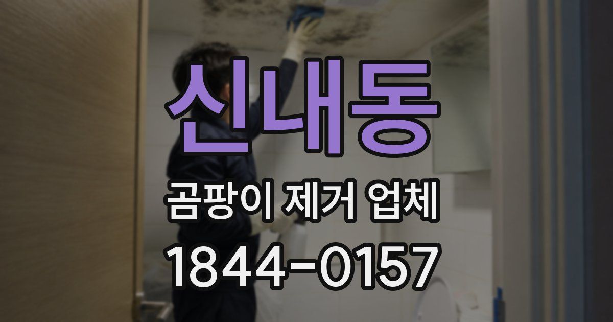 신내동 곰팡이 제거 업체