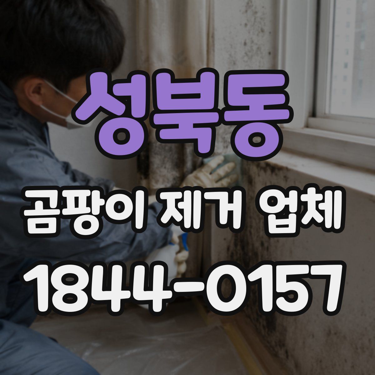 성북동 곰팡이 제거 업체