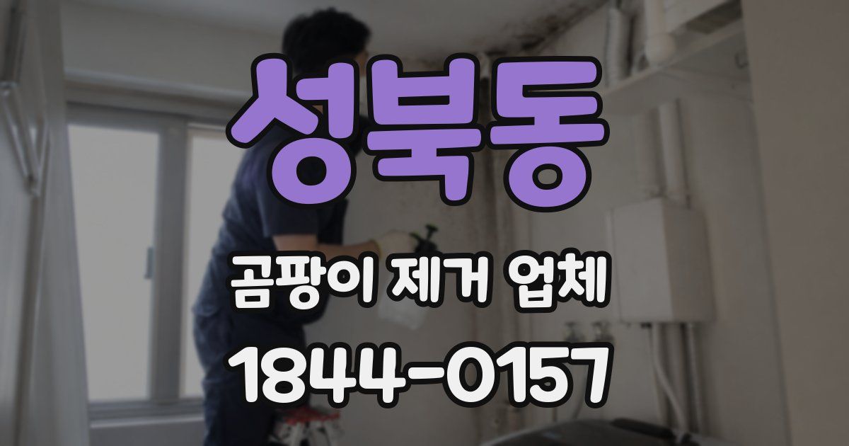 성북동 곰팡이 제거 업체