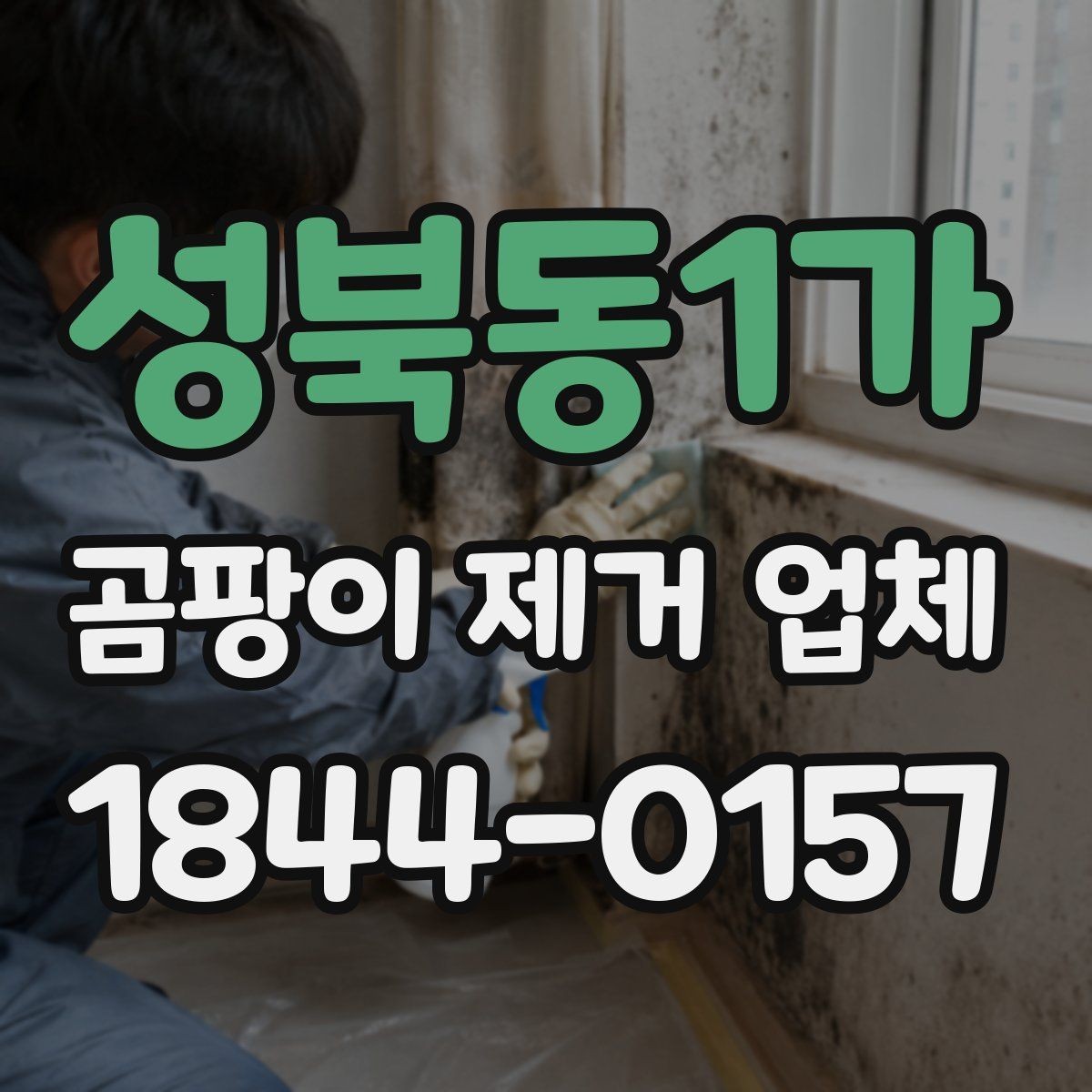성북동1가 곰팡이 제거 업체 세입자와 집주인이 함께 볼 점검 자료