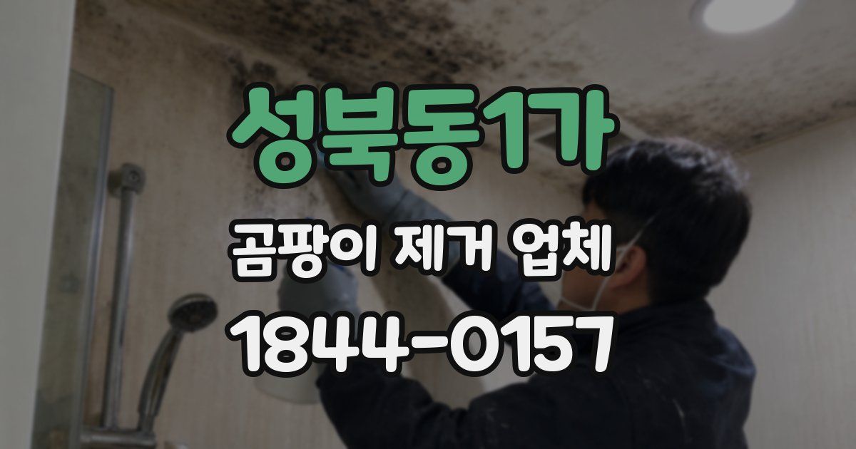 성북동1가 곰팡이 제거 업체