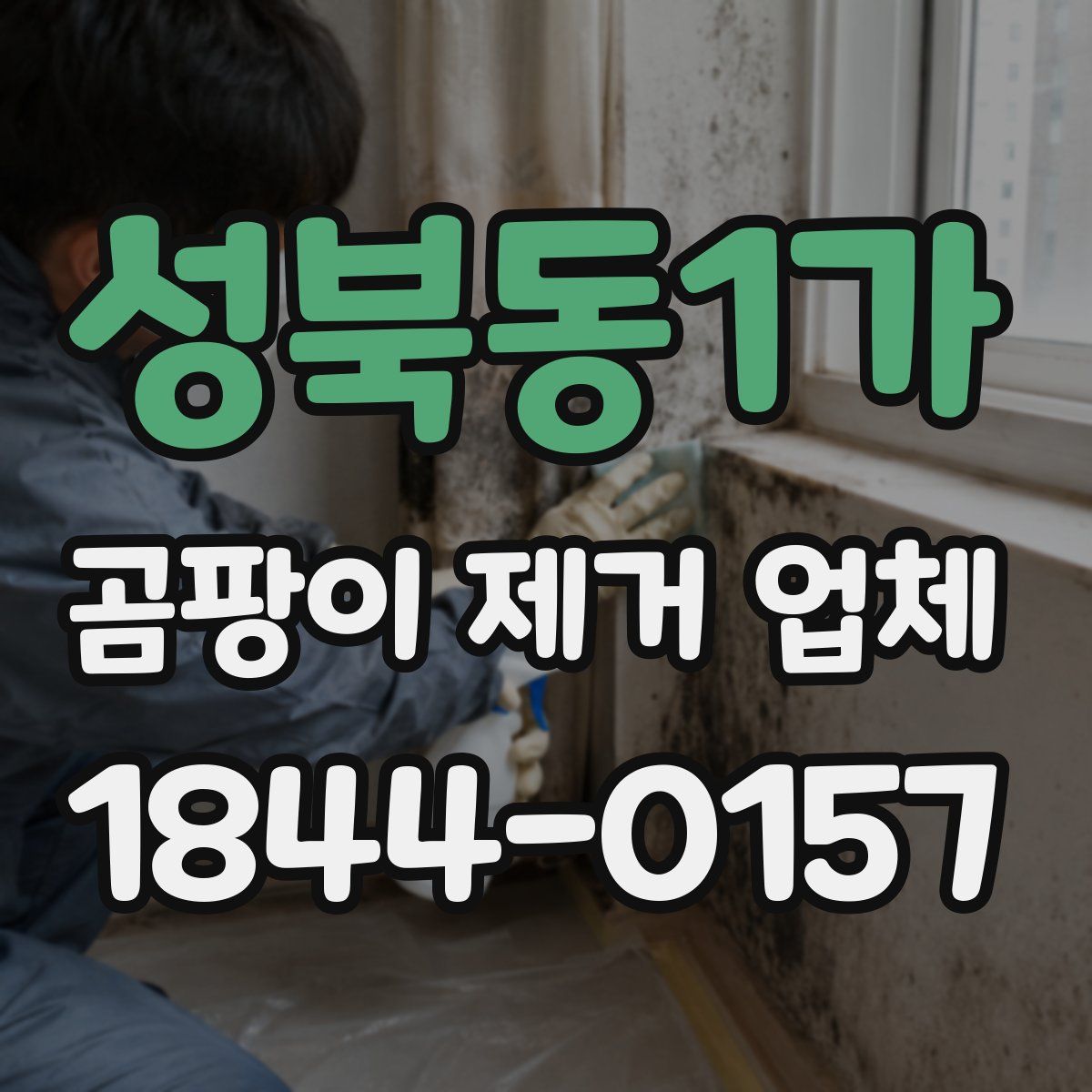 성북동1가 곰팡이 제거 업체