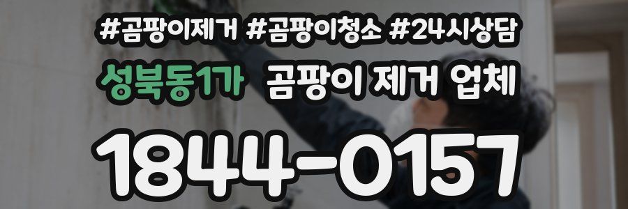 성북동1가 곰팡이 제거 업체