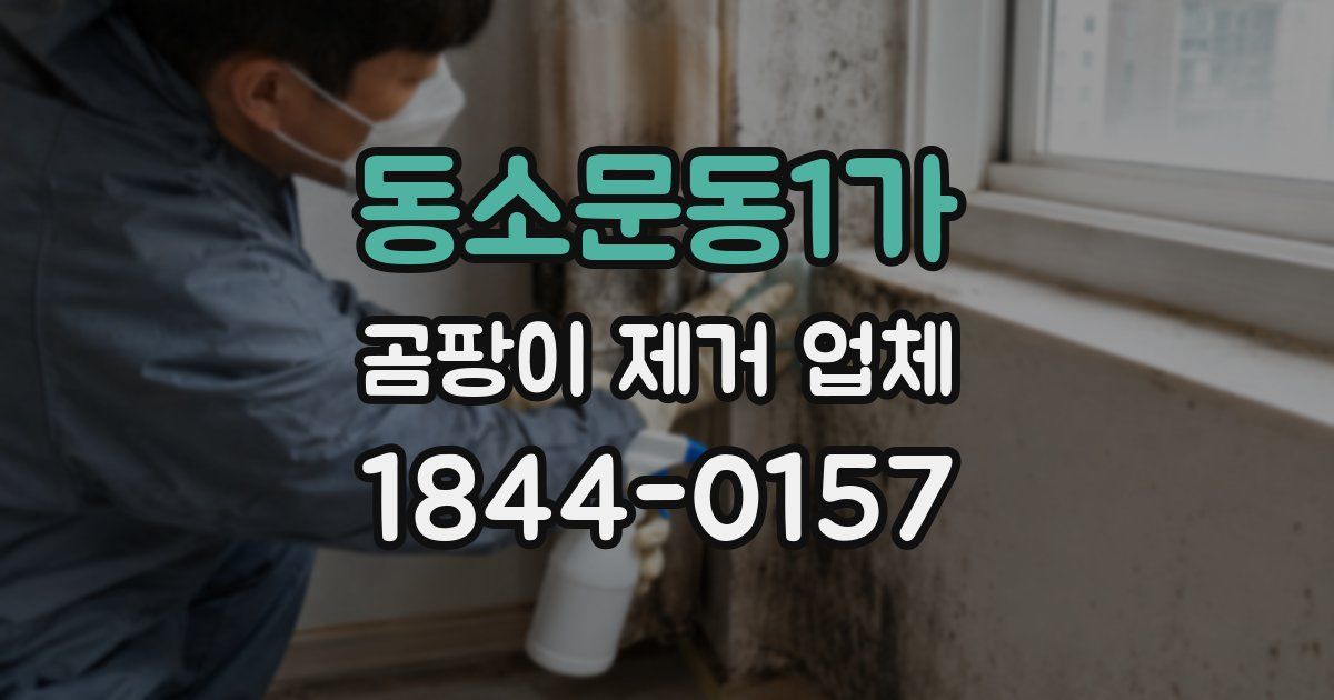 동소문동1가 곰팡이 제거 업체