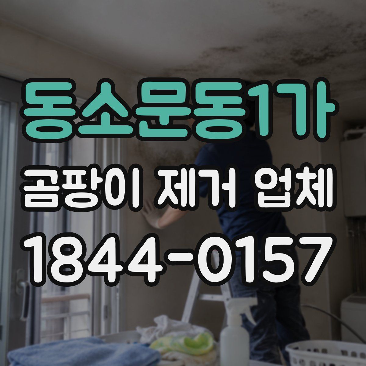 동소문동1가 곰팡이 제거 업체