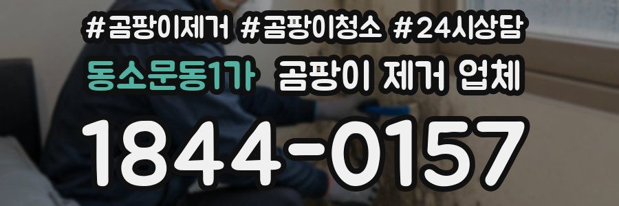 동소문동1가 곰팡이 제거 업체