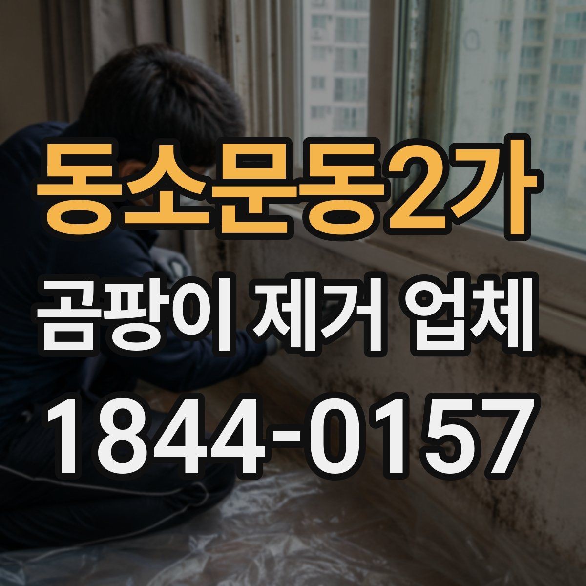 동소문동2가 곰팡이 제거 업체 방문 진단에서 원인과 범위를 함께 보는 법