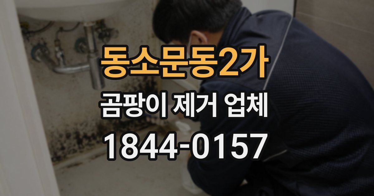 동소문동2가 곰팡이 제거 업체