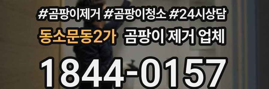 동소문동2가 곰팡이 제거 업체