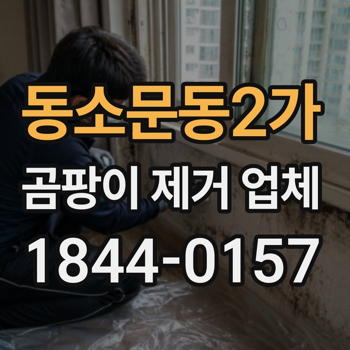 동소문동2가 곰팡이 제거 업체