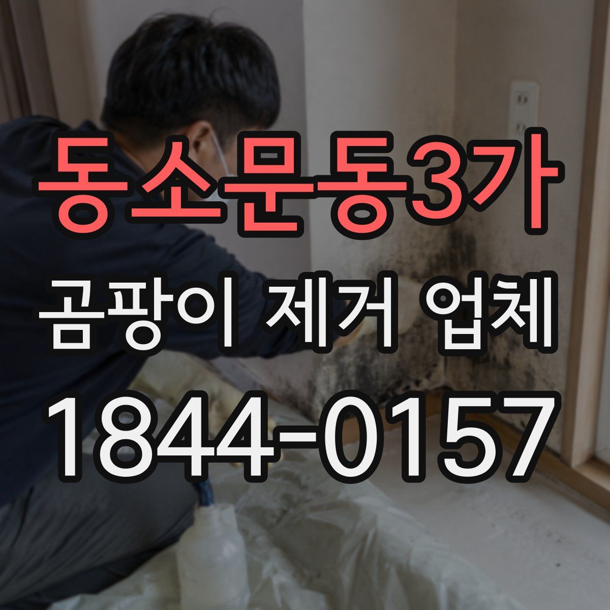 동소문동3가 곰팡이 제거 업체