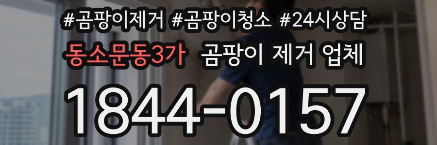 동소문동3가 곰팡이 제거 업체