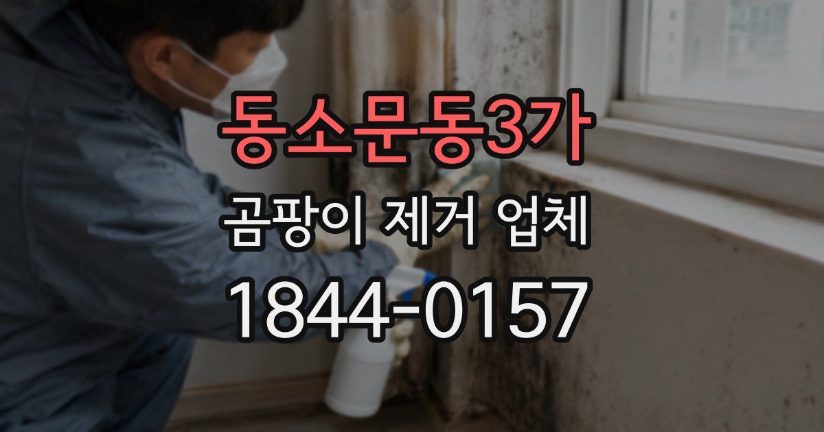 동소문동3가 곰팡이 제거 업체