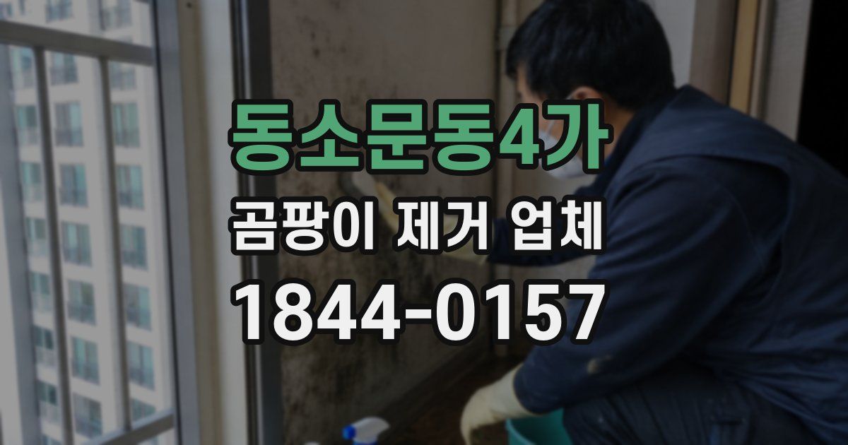동소문동4가 곰팡이 제거 업체